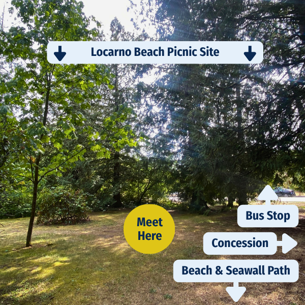 Tree Circle Meeting Area